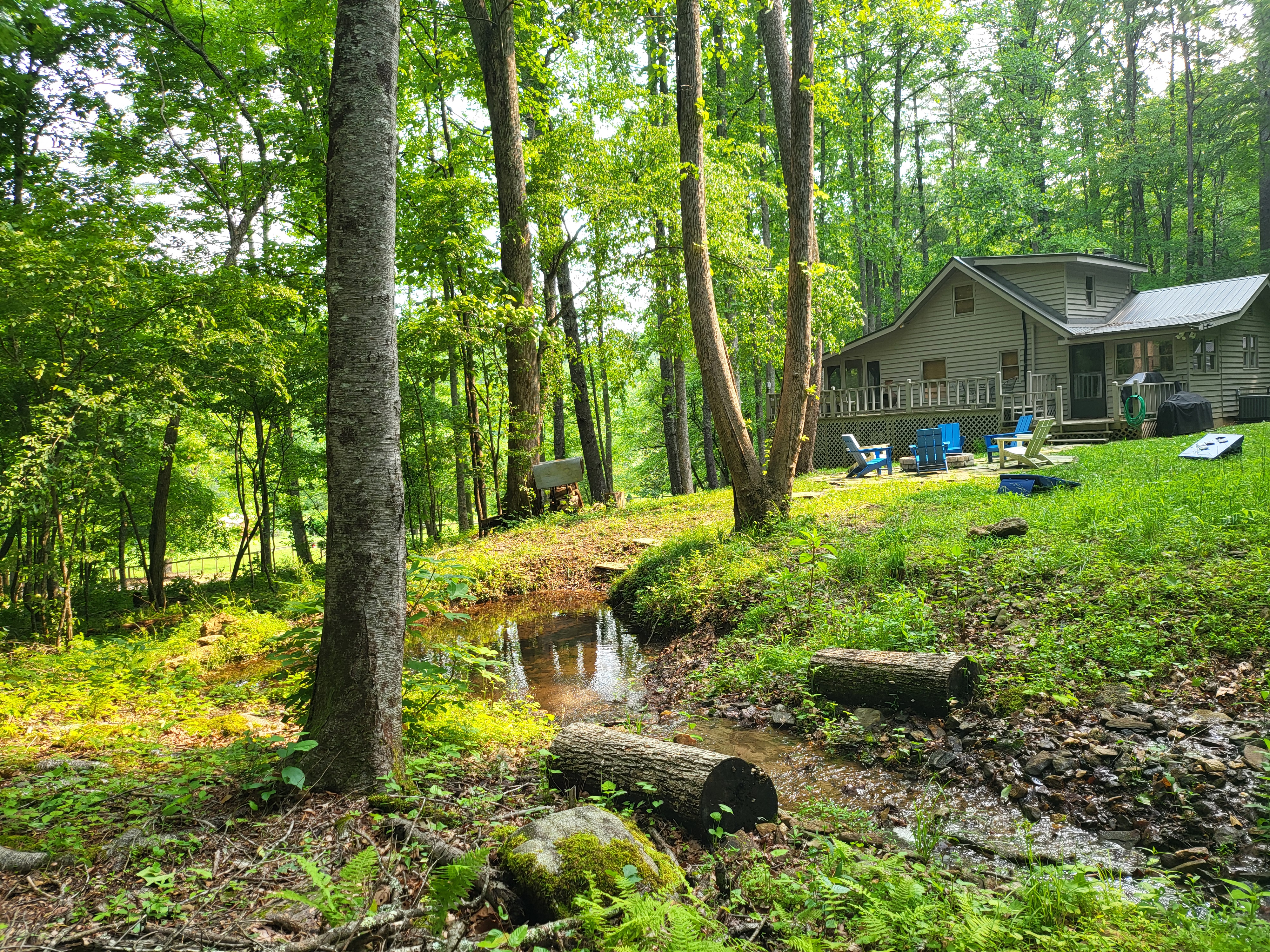 1.24 acres to roam
