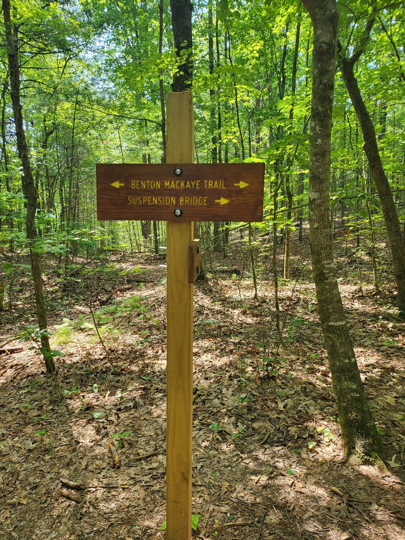 Benton MacKaye Trail wooden sign pointing toward Suspension Bridge in summer forest