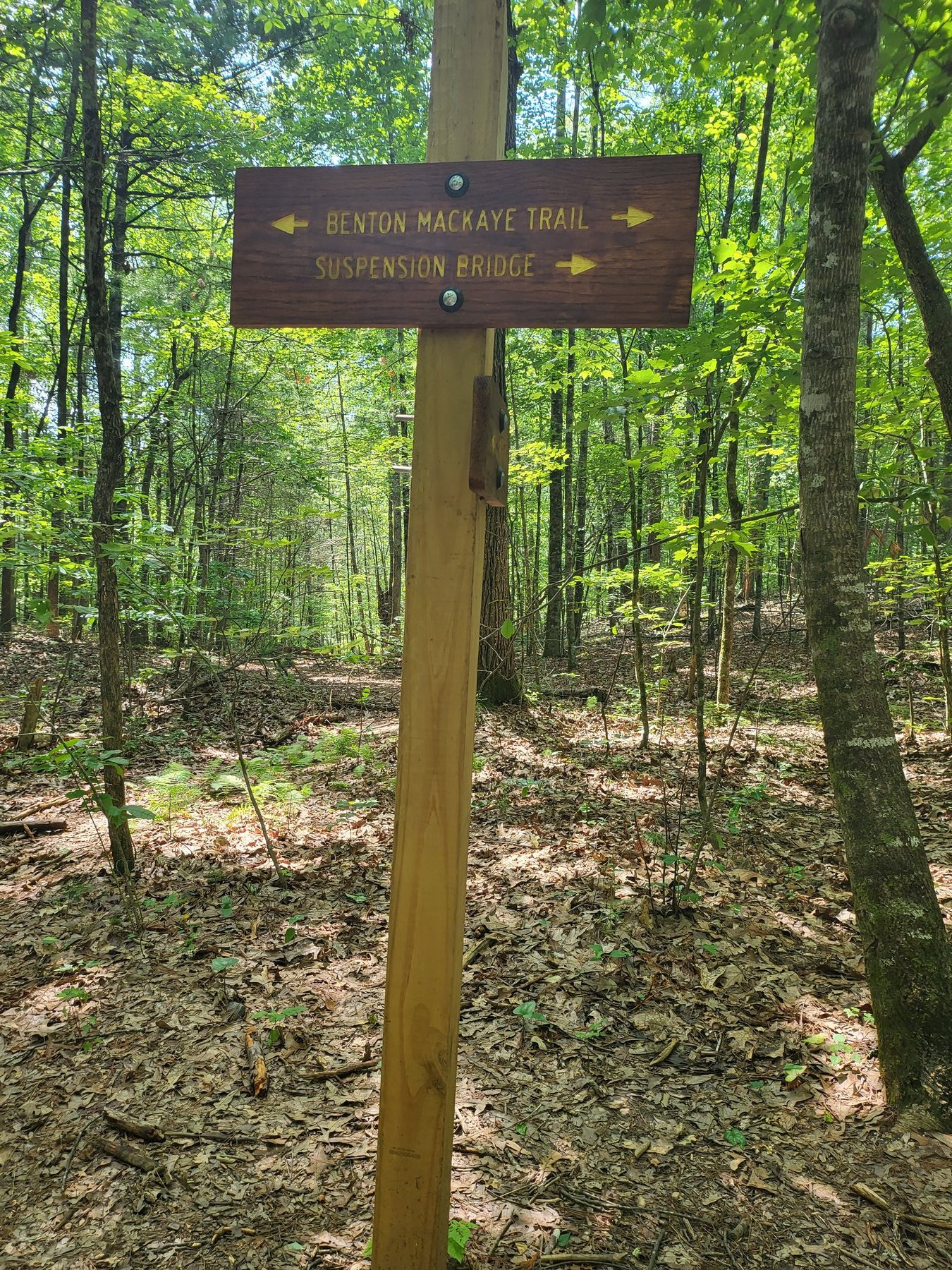 Benton MacKaye Trail sign in lush summer green forest near suspension bridge access