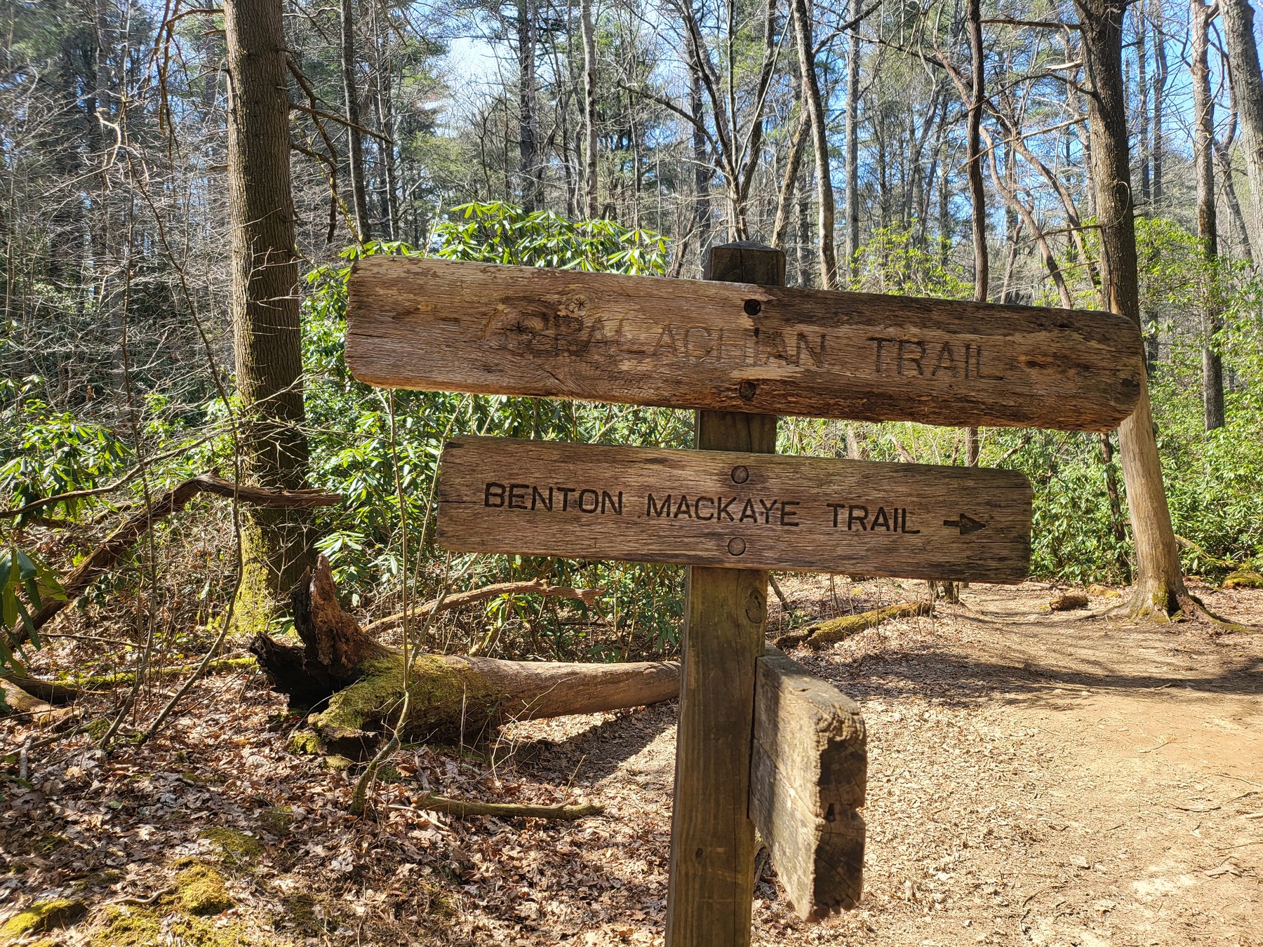 Appalachian Trail and Benton MacKaye Trail junction signs at Springer Mountain Georgia