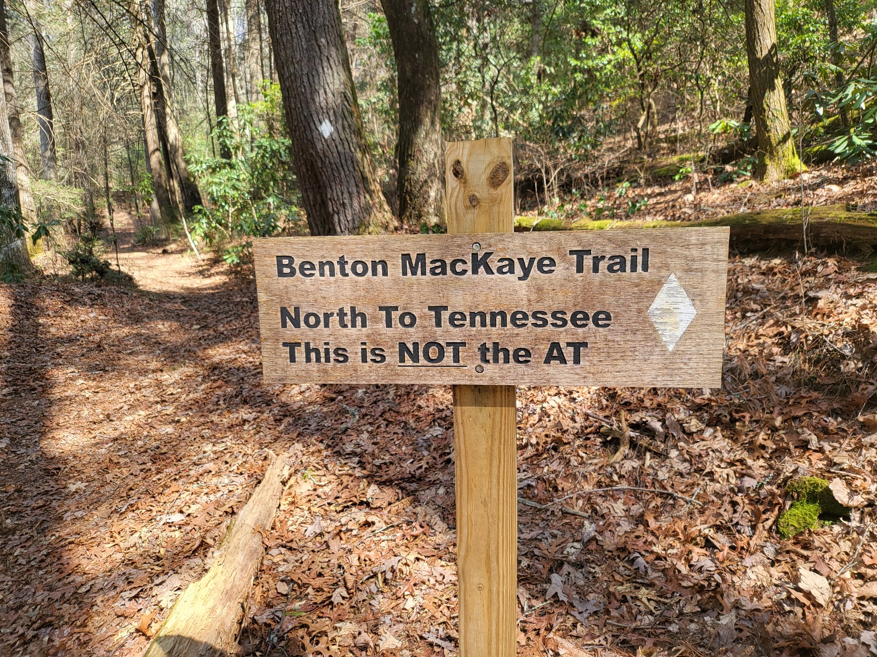 Benton MacKaye Trail sign reading North To Tennessee. This is NOT the AT. At Springer Mountain Georgia.