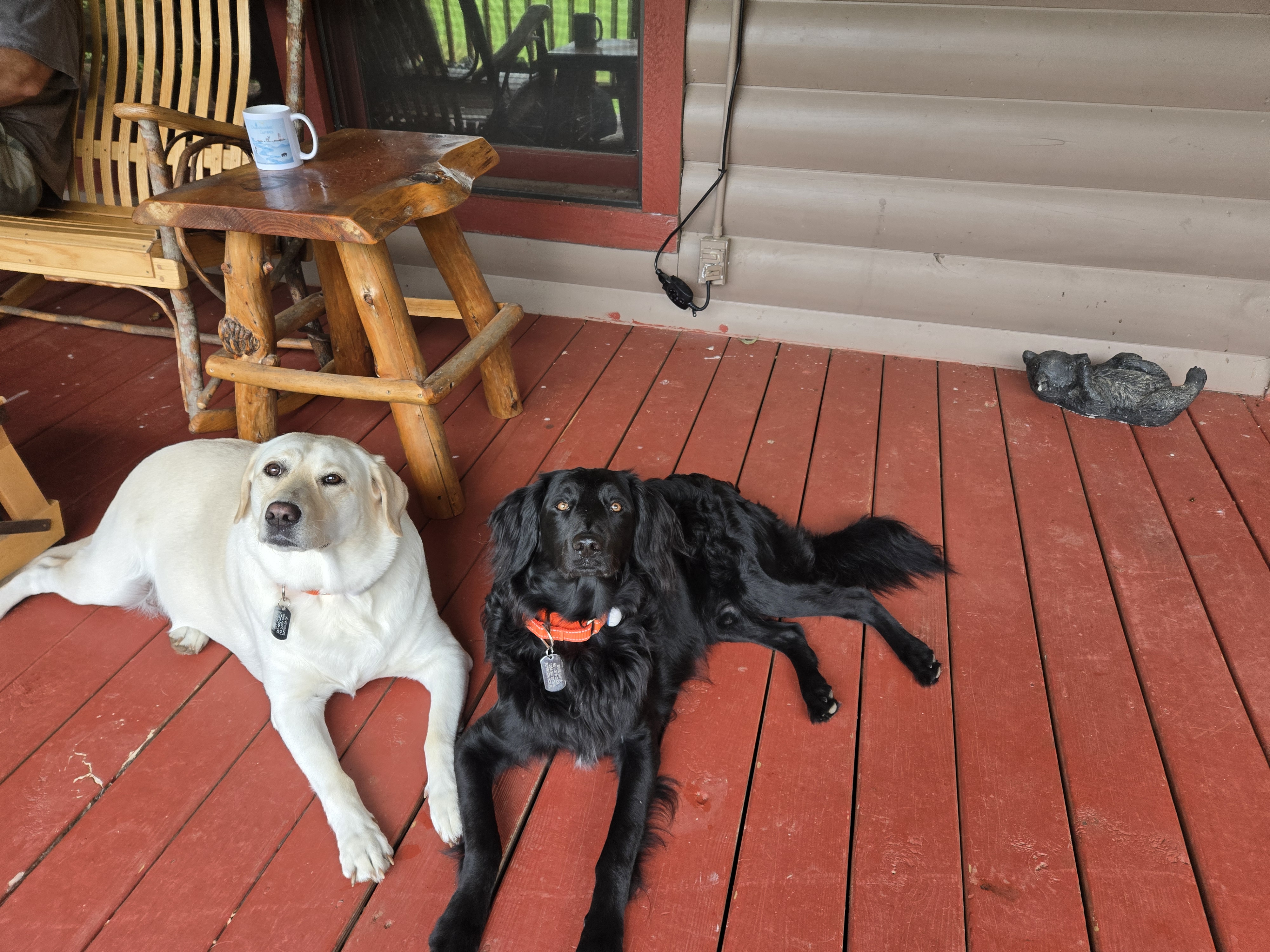 Two dogs lounging on the porch at Headwaters cabin in Suches GA with coffee on the rustic side table